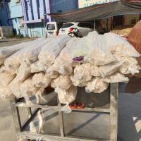 同性绝缘管